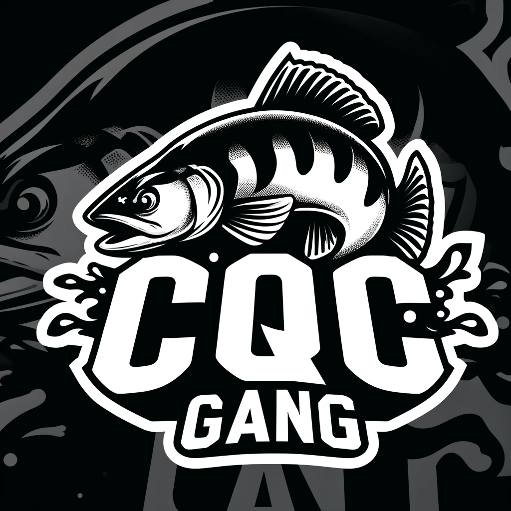 cqcgang.com